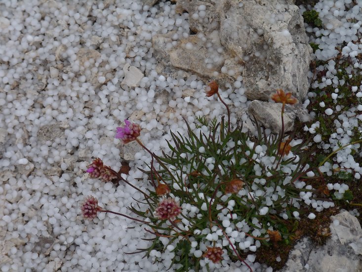 11.09.2014 Pale Di San Martino - 5. deň