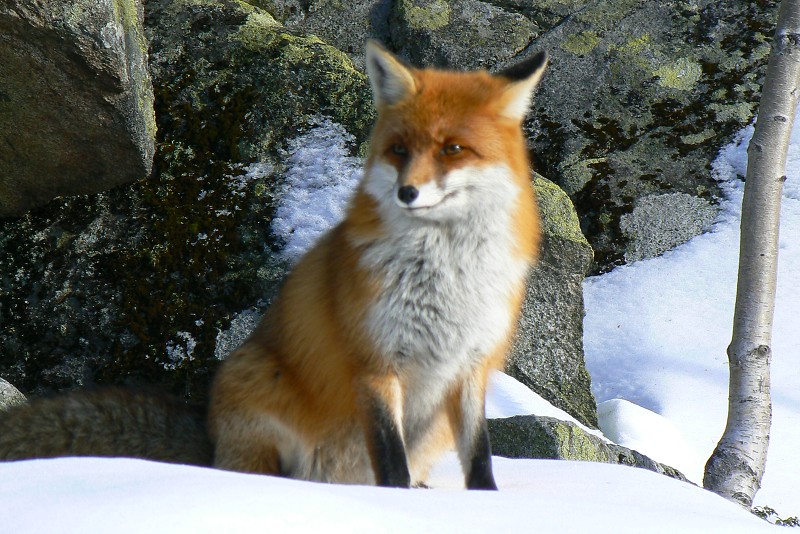 13.12.2015 Vysoké Tatry: Otvorenie zimnej sezóny