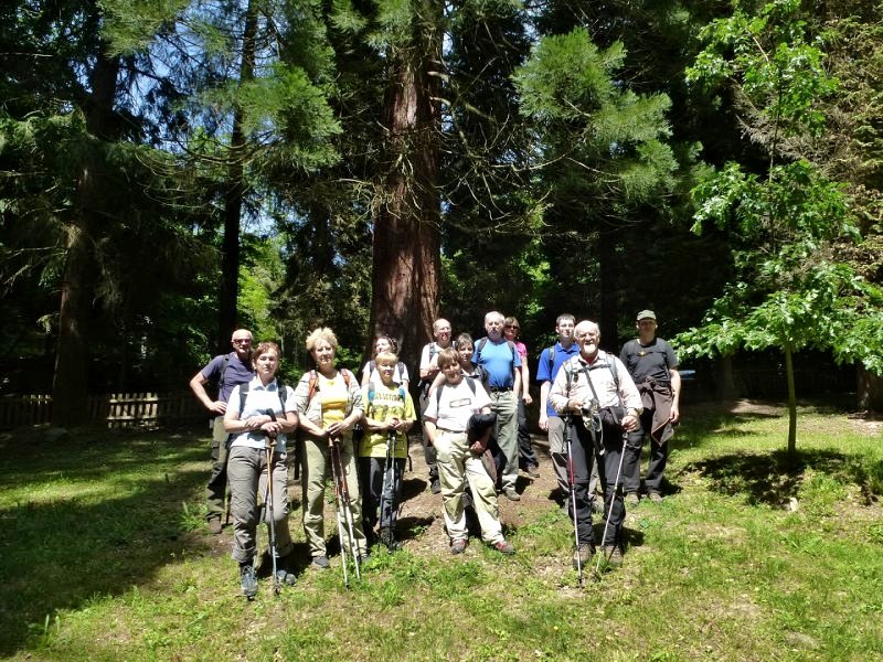 31.5.2015 Pohronský Inovec: Nová Baňa - Zvonička