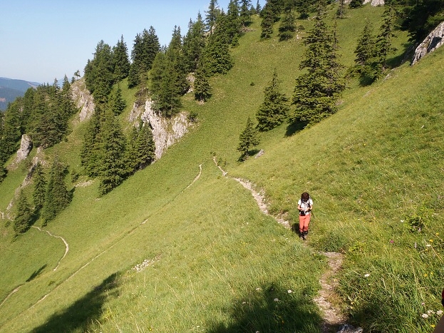 1.7.2012 Krakova ho�a