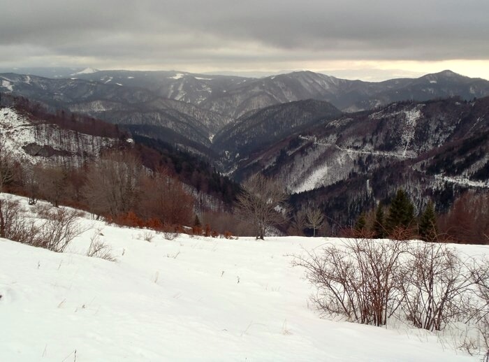 31.12.2012 Ryb� - Kr�na - Tureck�