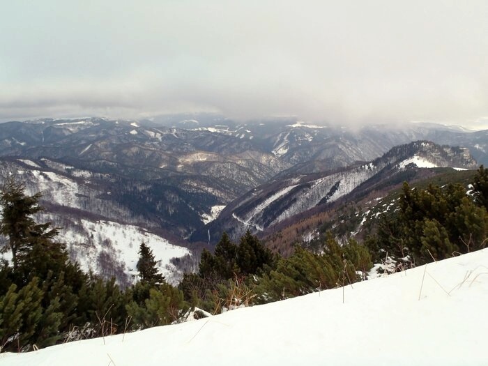 31.12.2012 Ryb� - Kr�na - Tureck�