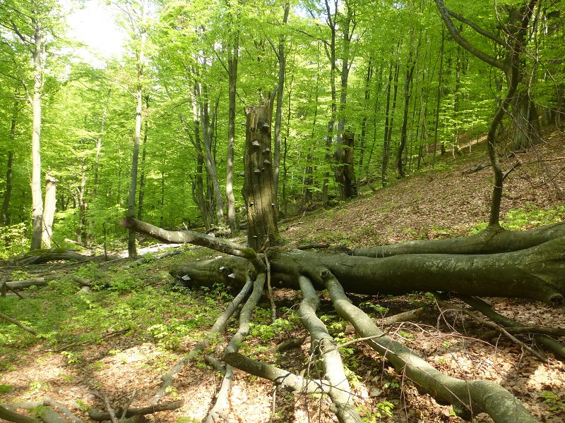 20.-22.5.2016: Východné Slovensko